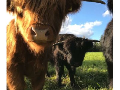 Tottijärven Kylälehti 2-2021 on lähetetty&nbsp;painoon