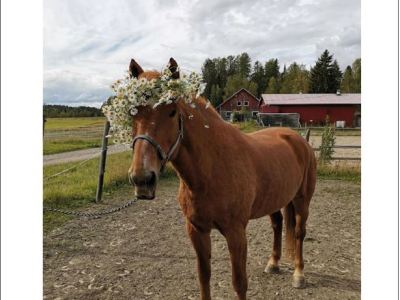 Kylälehti 1-2023 on lähetetty&nbsp;painoon